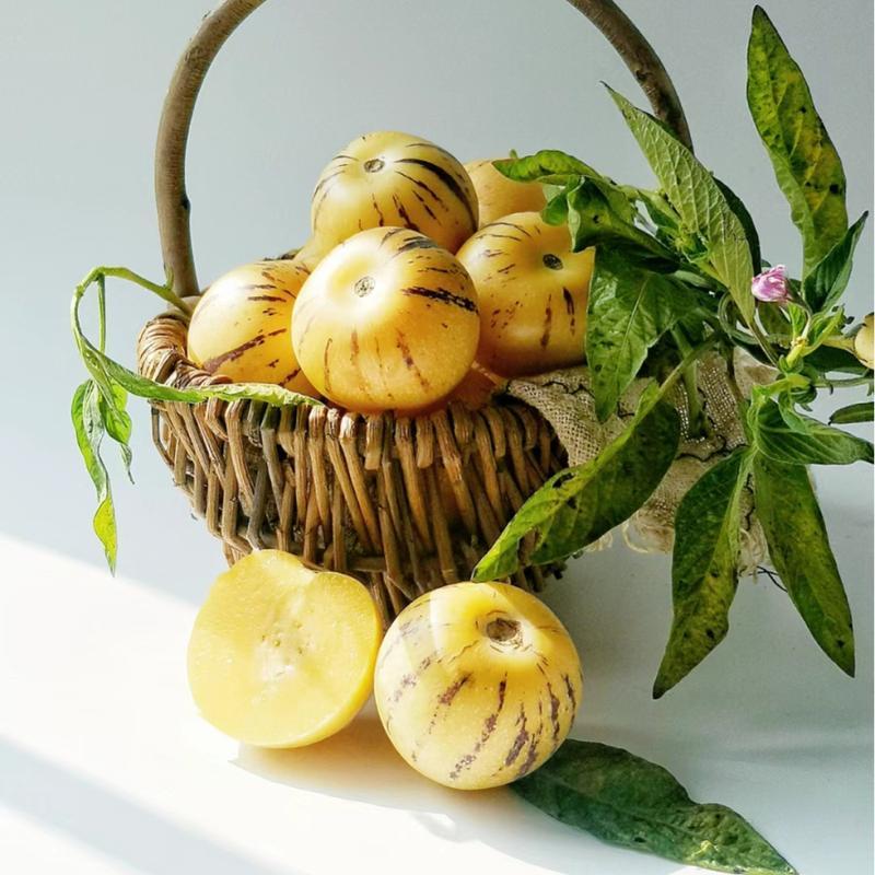 Pepino Melon Seeds for Planting,Sweet Pepino Seeds Non-GMO,Exotic Fruit Seed Heirloom for Outdoor Home Garden-JY