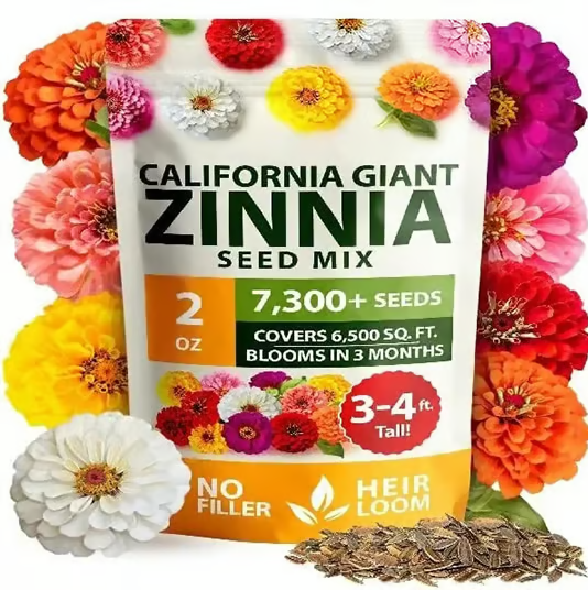 🔥Zinnia Seeds - Pure Seeds - No Filler -Heirloom Flower Seeds-ZBD