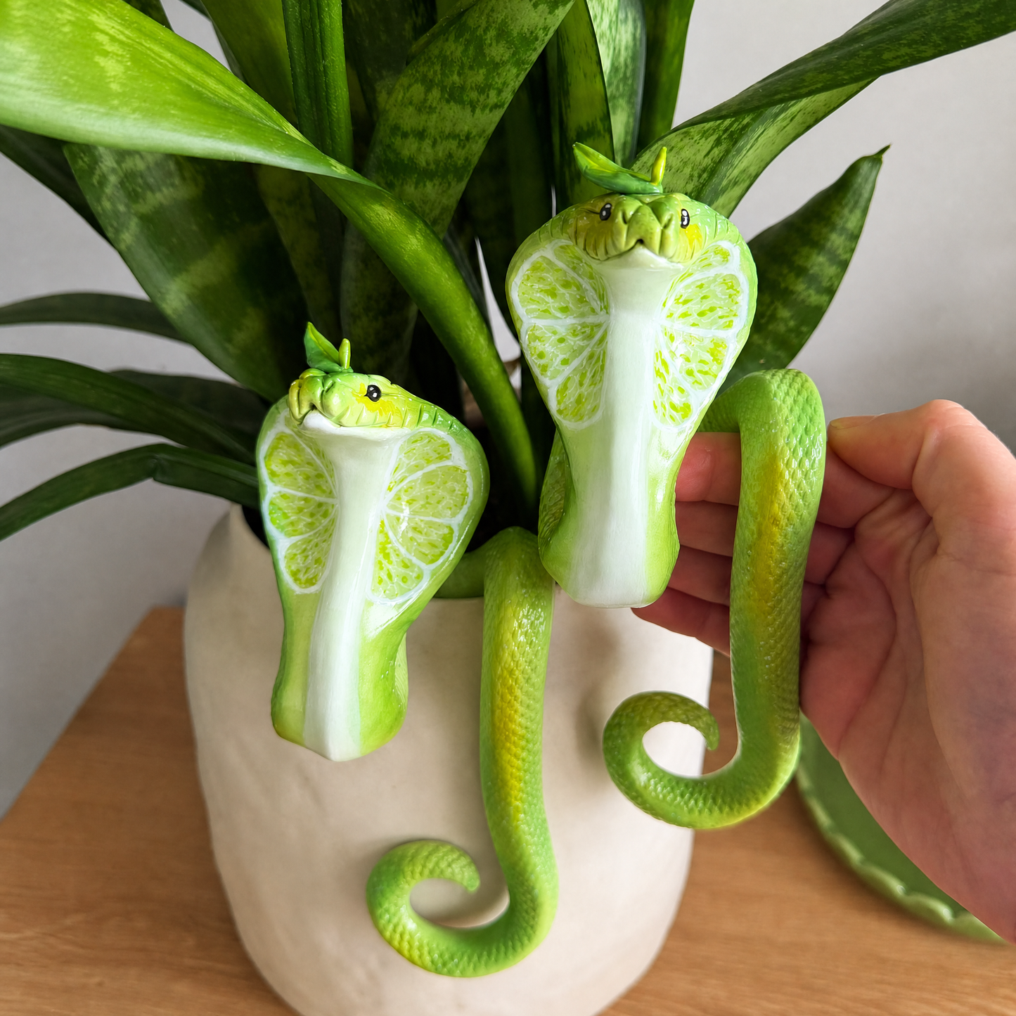 🌿Lime Cobra, Potted Pot Hanger