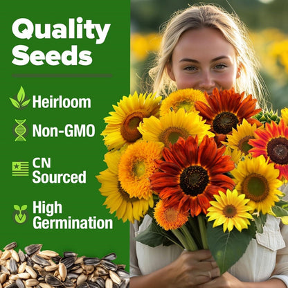 Sunflower Seeds with 7 Varieties - Over 1000 Seeds.-KPL