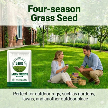 🔥2026 Evergreen Dwarf Grass Seed | For Four Seasons - 1 PACK