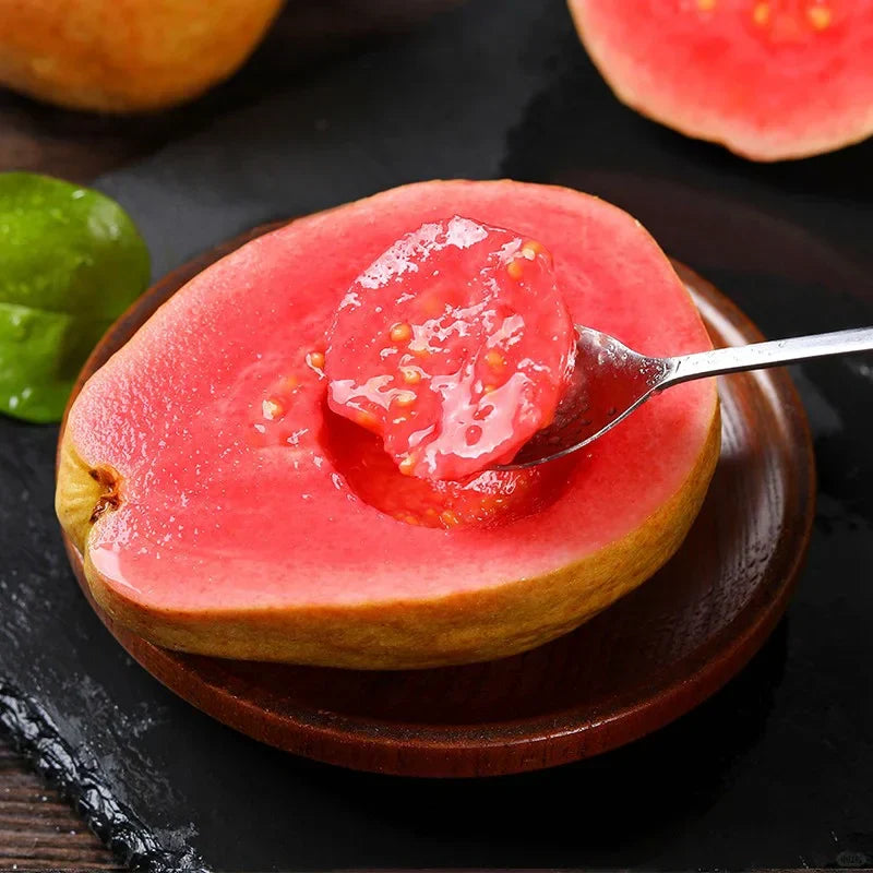 🔥Tropical Strawberry Guava Organic Pink Guava Seeds