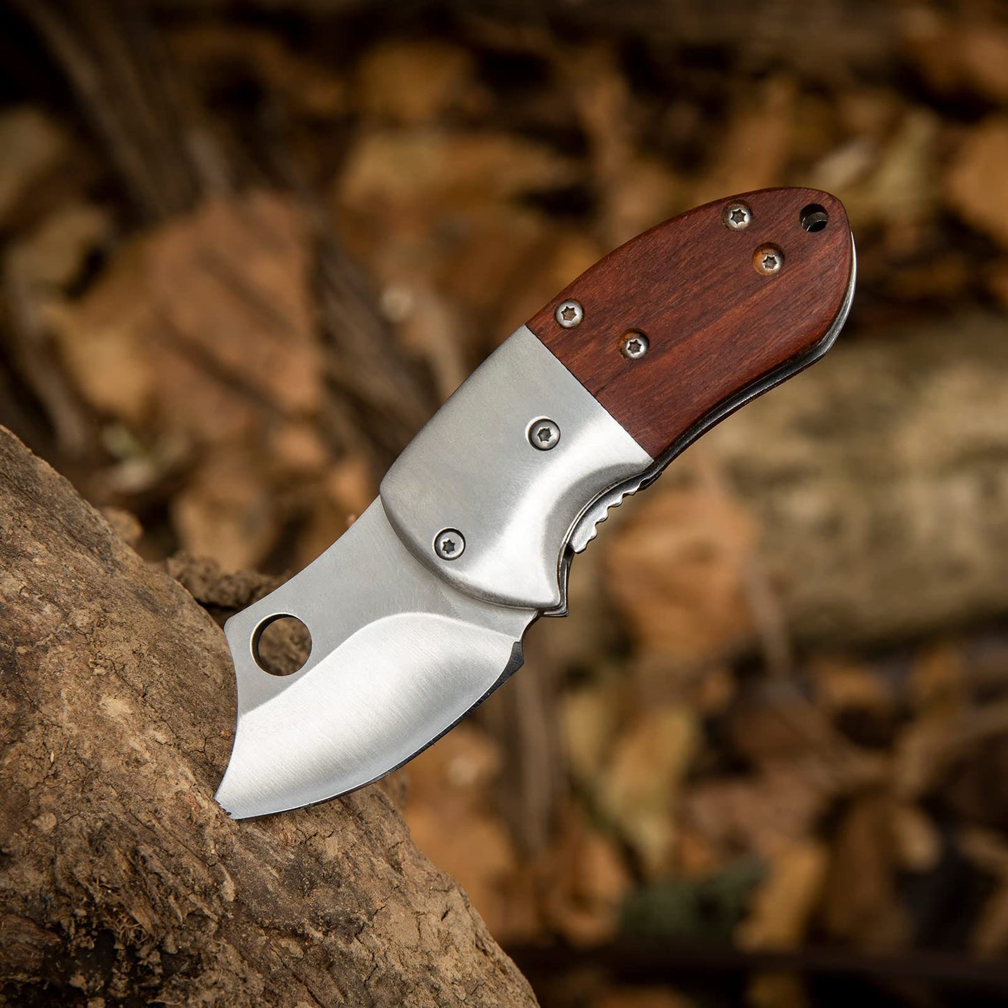 🔥LAST DAY 70% OFF🔥 Wood Handle Outdoor EDC Pocket Knife Mini Folding Knife