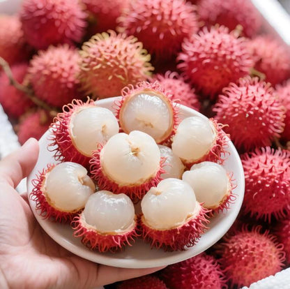Rambutan Fruit Seeds – Exotic Tropical Tree Seeds, Easy to Grow, Indoor & Outdoor Planting, All Season Planting, Home Garden, Beginner Friendly-JY