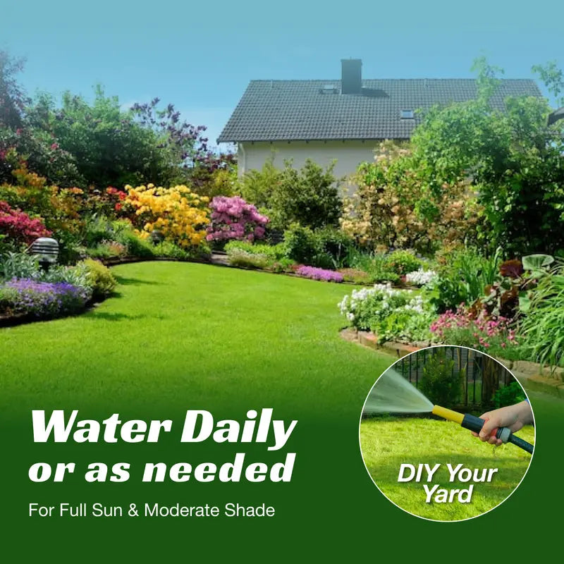 Grass seeds and shade-tolerant grass seeds, fast growing, suitable for all seasons, ideal for high-quality lawns and golf courses.-KPL