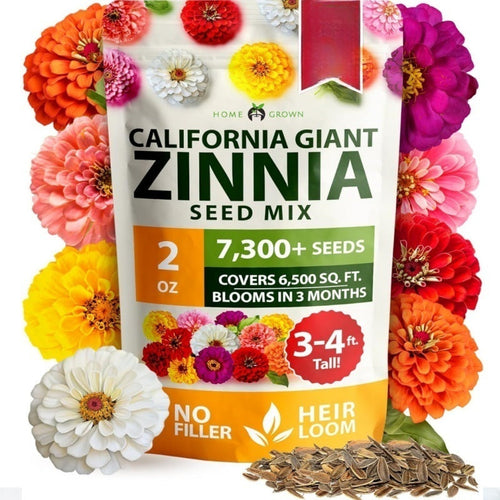 🔥Zinnia Seeds - Pure Seeds - No Filler - Heirloom Flower Seeds-JY
