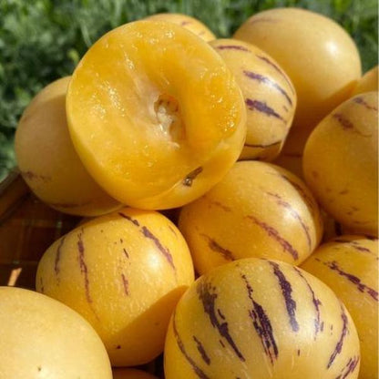 Pepino Melon Seeds for Planting,Sweet Pepino Seeds Non-GMO,Exotic Fruit Seed Heirloom for Outdoor Home Garden-JY