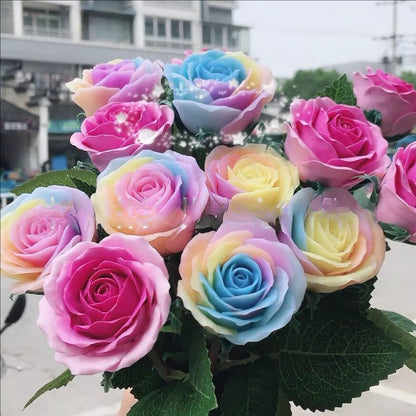 【Buy 1 Get 1 Free】Rare Twin Red White Rose Flower Seeds for Planting - Captivating Garden Blooms Non GMO Heirloom Garden - Planting Instructions for Easy Grow - Great Gardening Gifts-JY