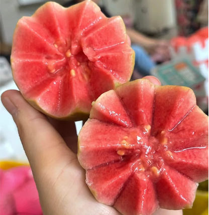 🔥Tropical Strawberry Guava Organic Pink Guava Seeds
