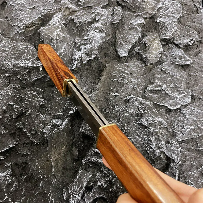 🔥LAST DAY 70% OFF🔥Handmade Wood Handle D2 Steel Double Knife