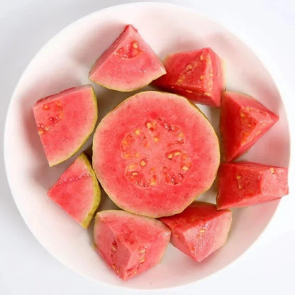🔥Tropical Strawberry Guava Organic Pink Guava Seeds