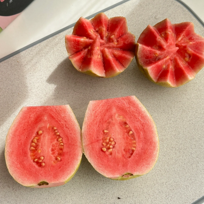 🔥Tropical Strawberry Guava Organic Pink Guava Seeds