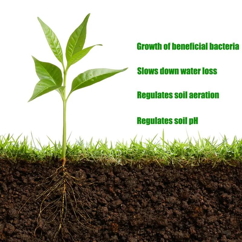 🔥Premium Soil Activator & Revitalizer - Concentrated Humic Acid Plant Food Enhancer🌱-LGZ