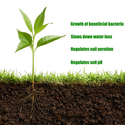 🔥Premium Soil Activator & Revitalizer - Concentrated Humic Acid Plant Food Enhancer🌱-LGZ
