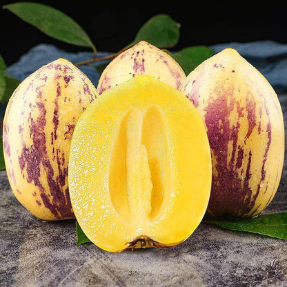 Pepino Melon Seeds for Planting,Sweet Pepino Seeds Non-GMO,Exotic Fruit Seed Heirloom for Outdoor Home Garden-JY