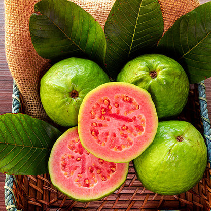 🔥Tropical Strawberry Guava Organic Pink Guava Seeds