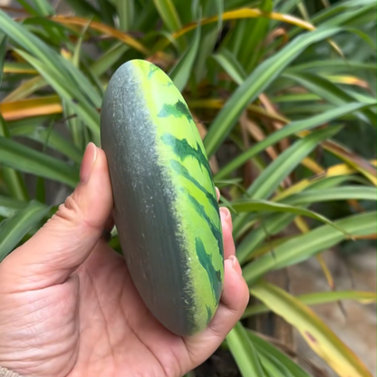 Hand-Painted Double-Sided Resin Polished Stone | Lucky Home Ornament