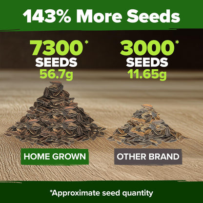 🔥Zinnia Seeds - Pure Seeds - No Filler - Heirloom Flower Seeds-JY