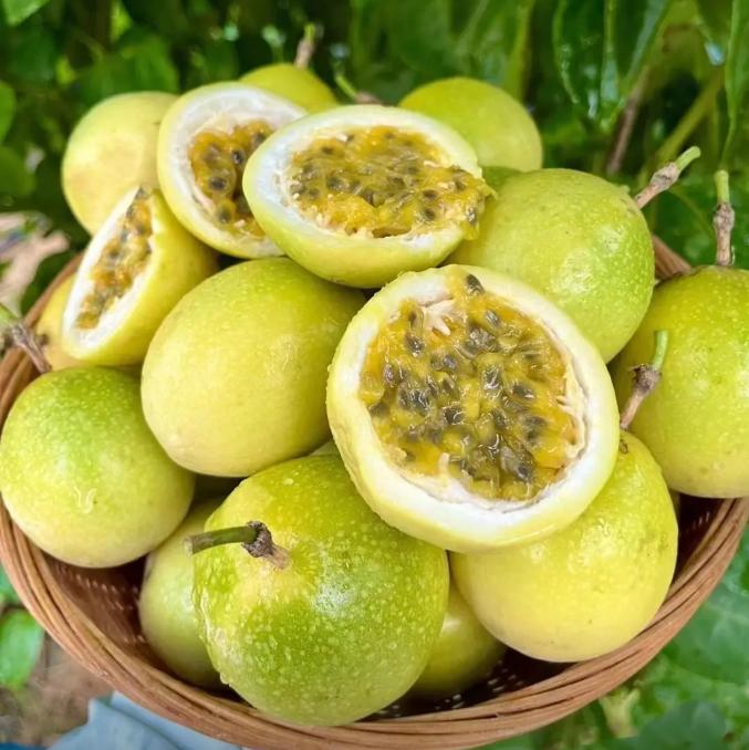 Passion Fruit Seeds, tropical fruit vine plants, fast-growing and suitable for gardens and balconies.-KPL