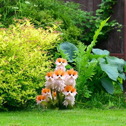 🔥😺 Enjoy your garden! Magical plants! Transparent cat's eye seeds! 🌸✨