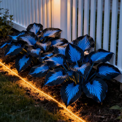 💥LAST DAY SALE 50%OFF💥🌿Premium Rare Hosta Seeds-ZBD