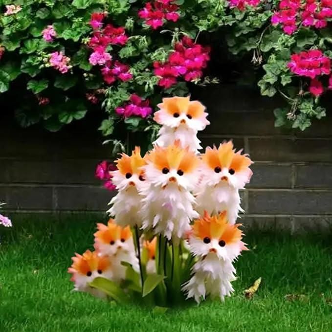 🔥😺 Enjoy your garden! Magical plants! Transparent cat's eye seeds! 🌸✨