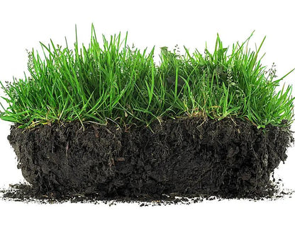 🔥Premium Soil Activator & Revitalizer - Concentrated Humic Acid Plant Food Enhancer🌱-LGZ