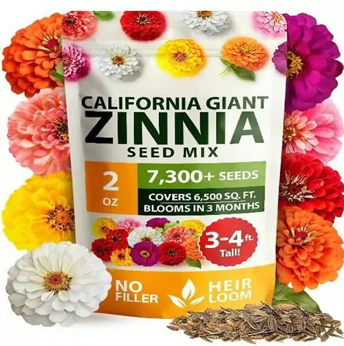 🔥Zinnia Seeds - Pure Seeds - No Filler -Heirloom Flower Seeds-ZBD