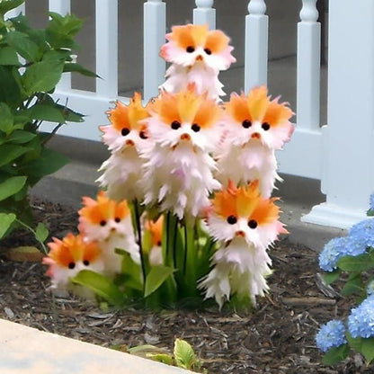 🔥😺 Enjoy your garden! Magical plants! Transparent cat's eye seeds! 🌸✨