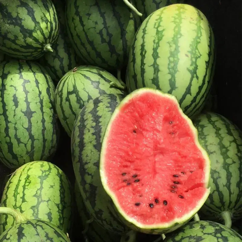 🍉Sweet Watermelon Seeds with Red Flesh and Thin Skin