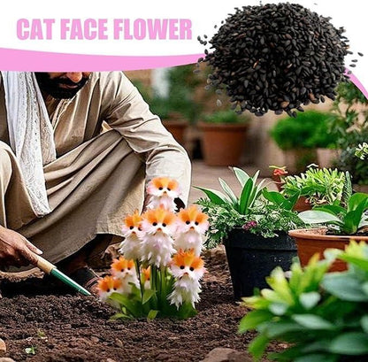 🔥😺 Enjoy your garden! Magical plants! Transparent cat's eye seeds! 🌸✨