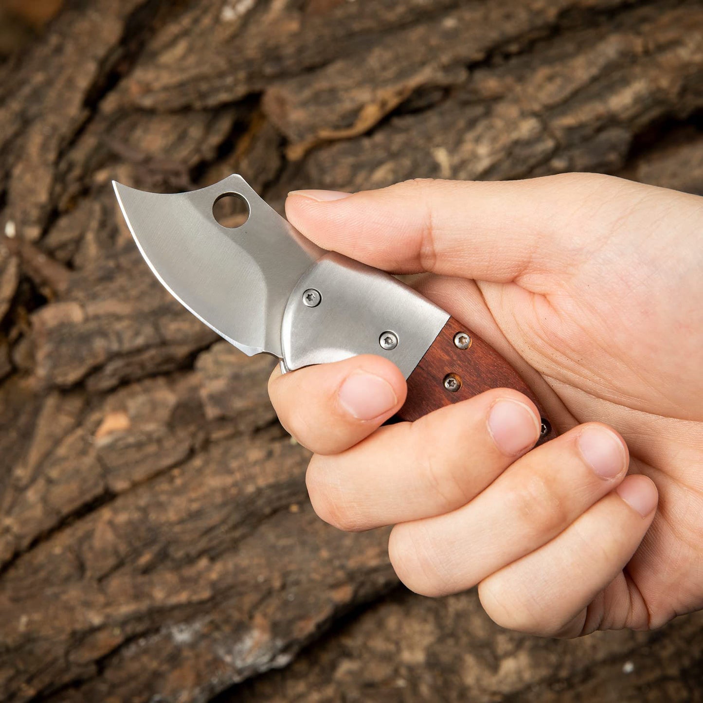 🔥LAST DAY 70% OFF🔥 Wood Handle Outdoor EDC Pocket Knife Mini Folding Knife