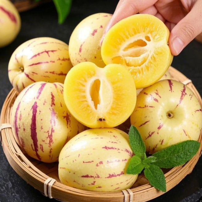 🪴Ginseng Fruit Pepino Melon Seeds-Solanum Muricatum