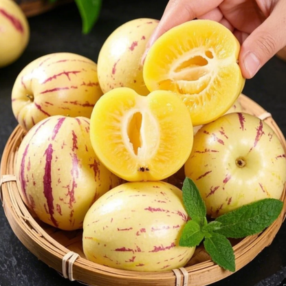 🪴Ginseng Fruit Pepino Melon Seeds-Solanum Muricatum